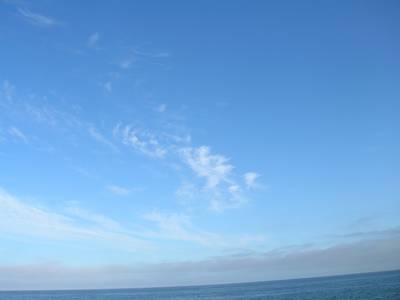26_enero_07--_ma_ana_012.jpg