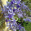 26a04f_tn.jpg