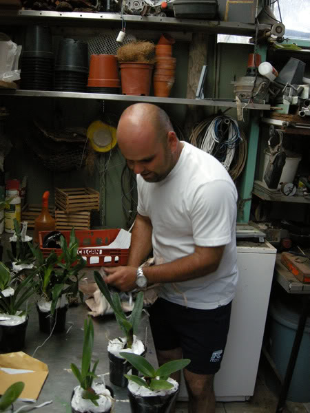 27-02-08-037jpg-Pedido.jpg