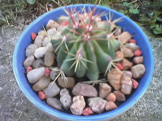 27-08-06_1026.jpg