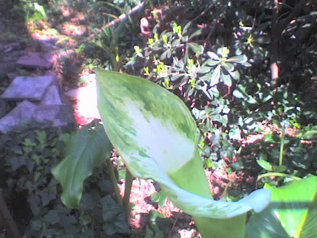 27-09-07_1450.jpg