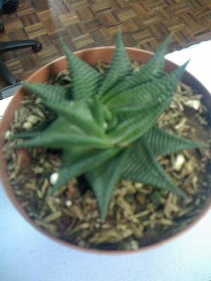 27-11-07_0832.jpg