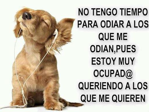 27-no-tengo-tiempo-para-odiar.jpg