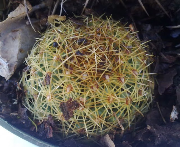 270320121087.jpg
