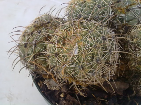 270320121088.jpg