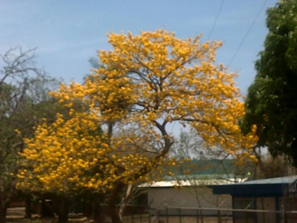 27032013227_zps58df4fb8.jpg