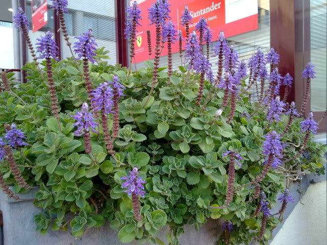 27052010275.jpg