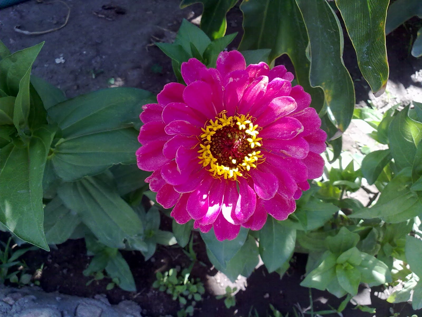 27052010347.jpg