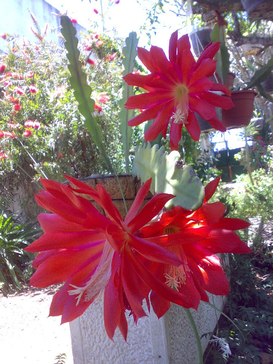 2705201212062.jpg