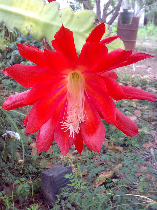 2705201212075.jpg