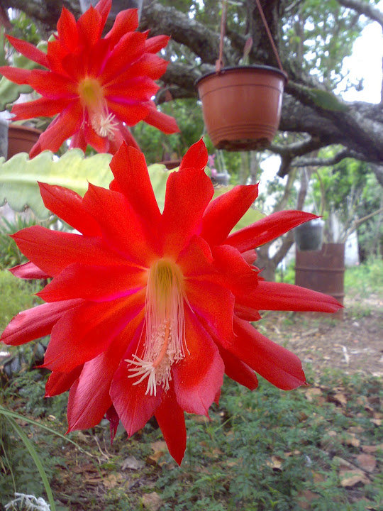 2705201212076.jpg