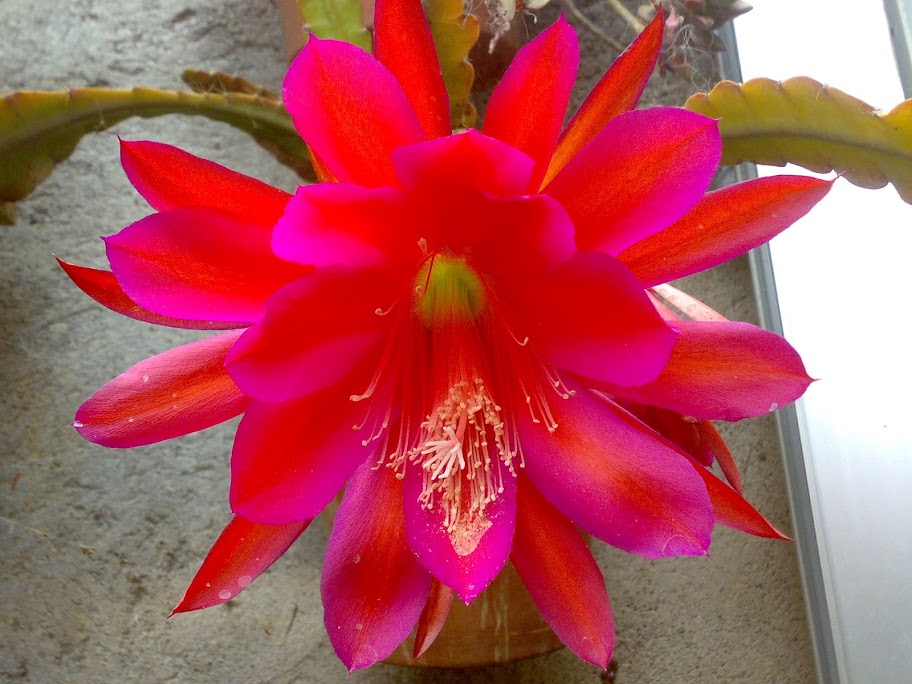 2705201212083.jpg