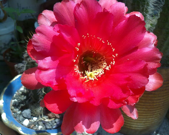 270520121707.jpg
