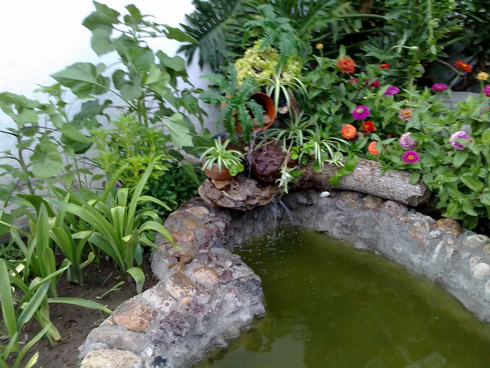 27062010871.jpg