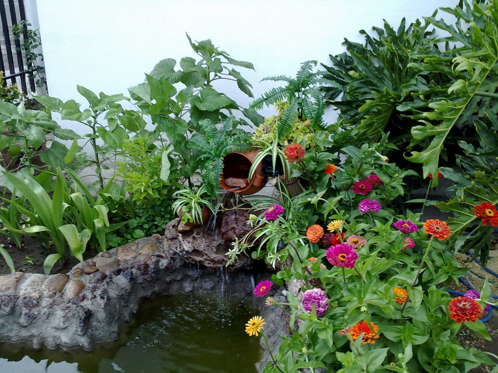 27062010873.jpg