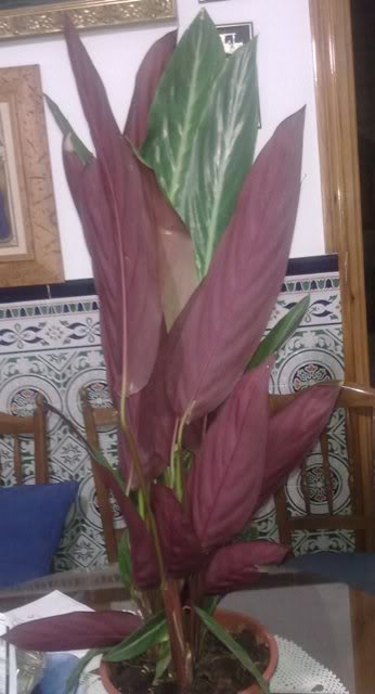 27062011800.jpg