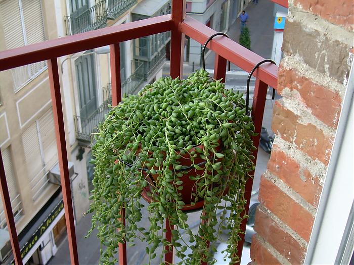 27072007 001.jpg