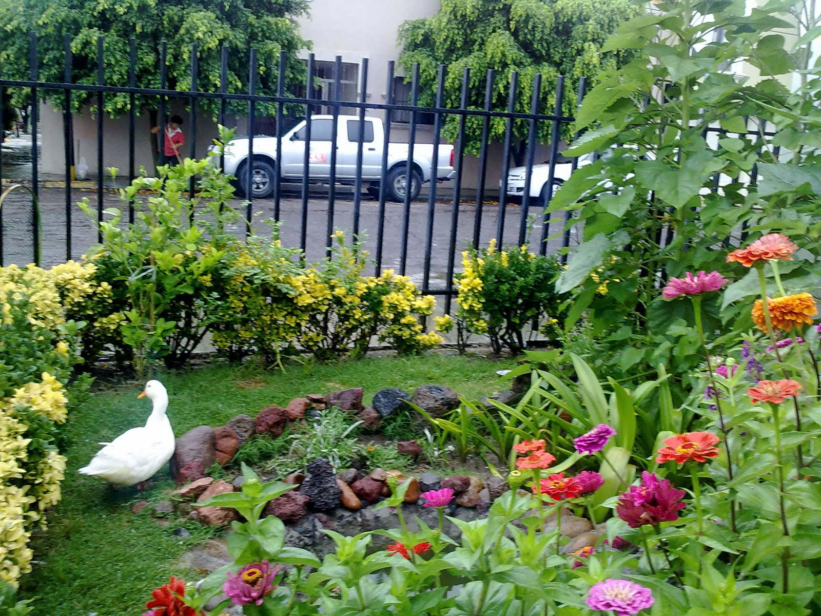270720101908.jpg