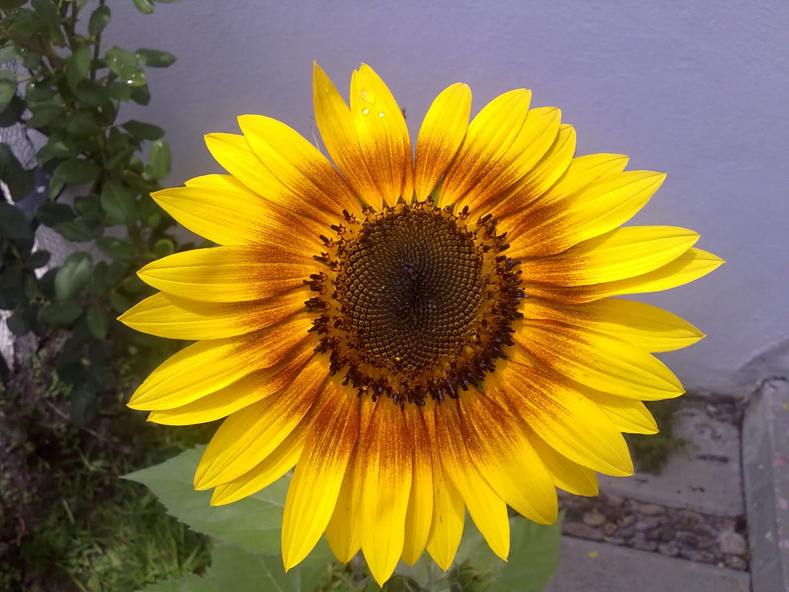 270720101924.jpg