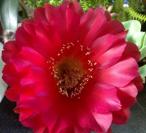 270720113528.jpg