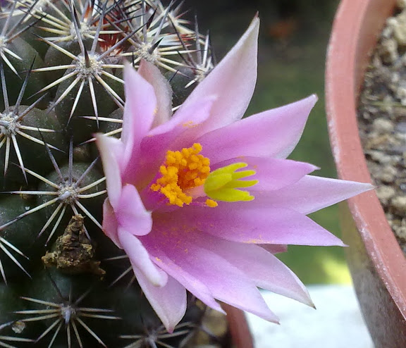 270720122224.jpg