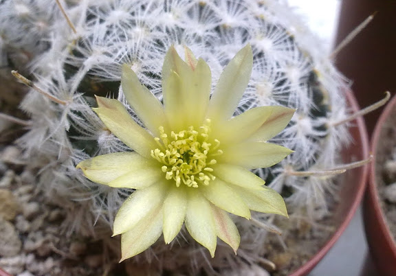 270720122225.jpg