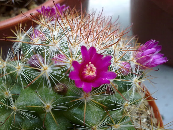 270720122226.jpg