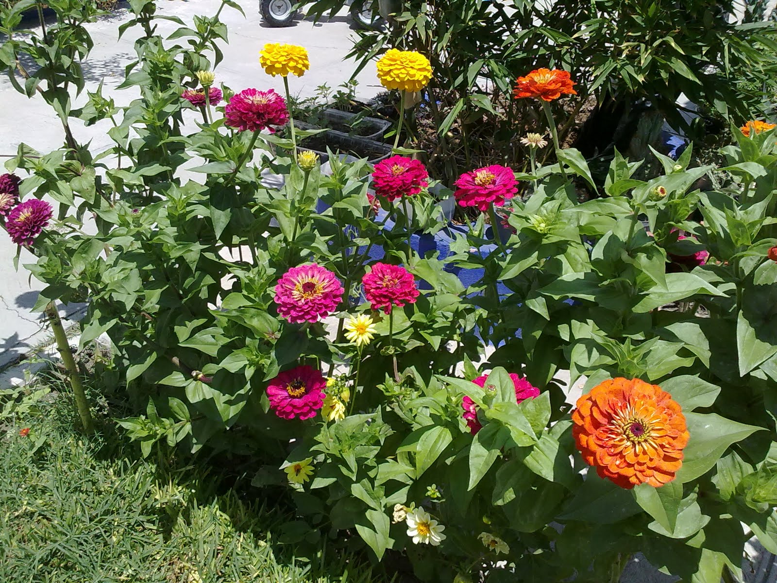 270820103054.jpg