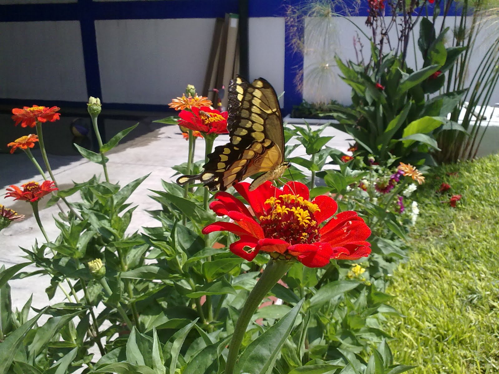 270820103057.jpg