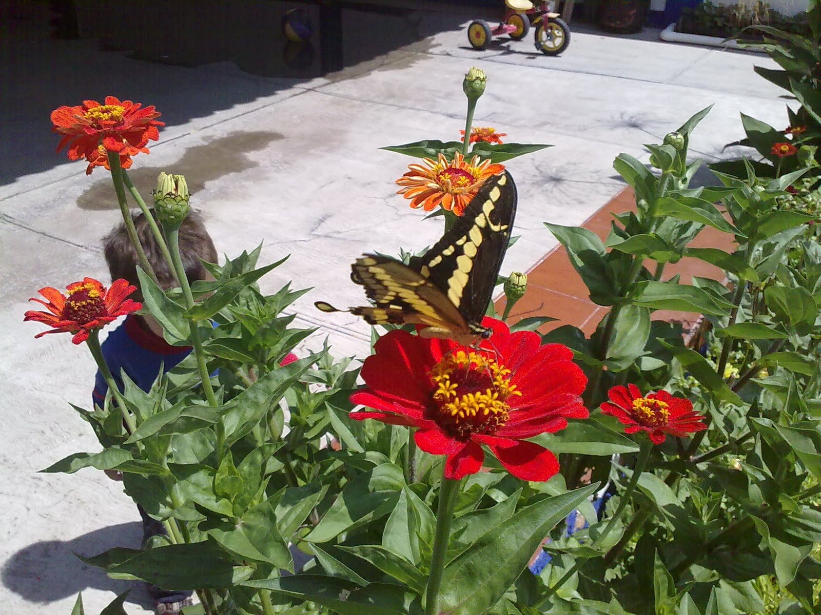 270820103058.jpg