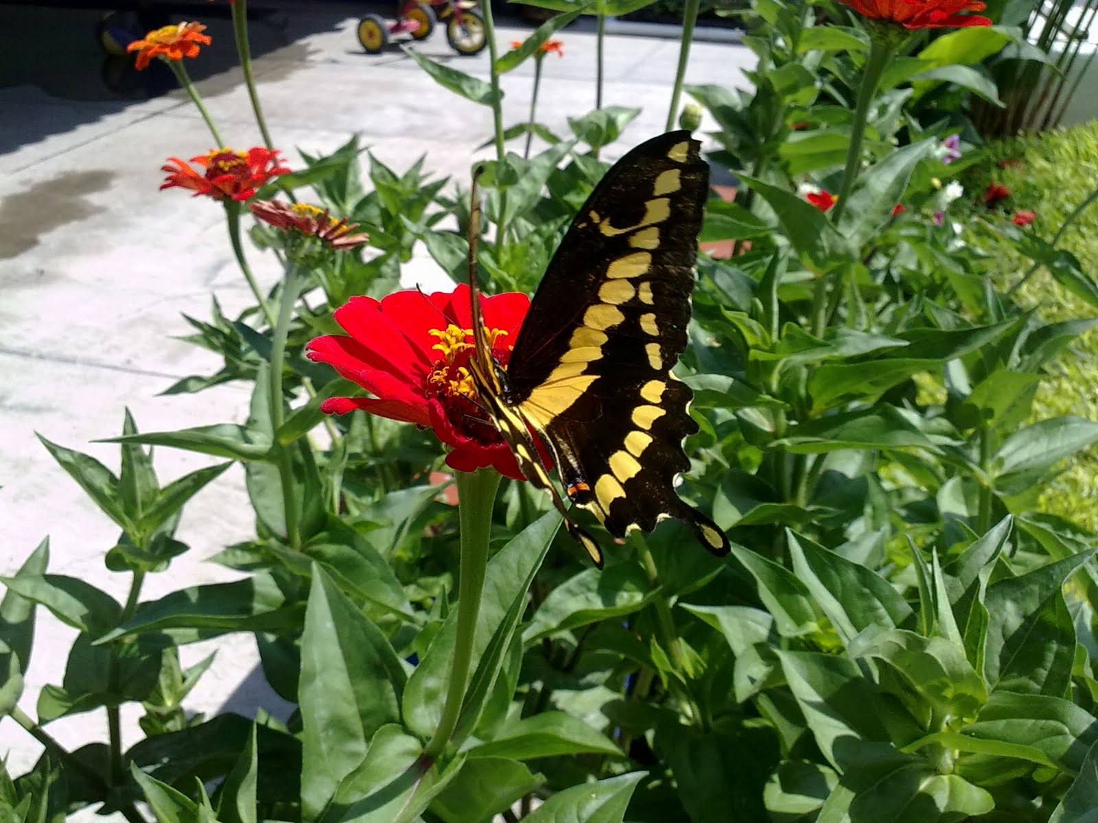 270820103062.jpg