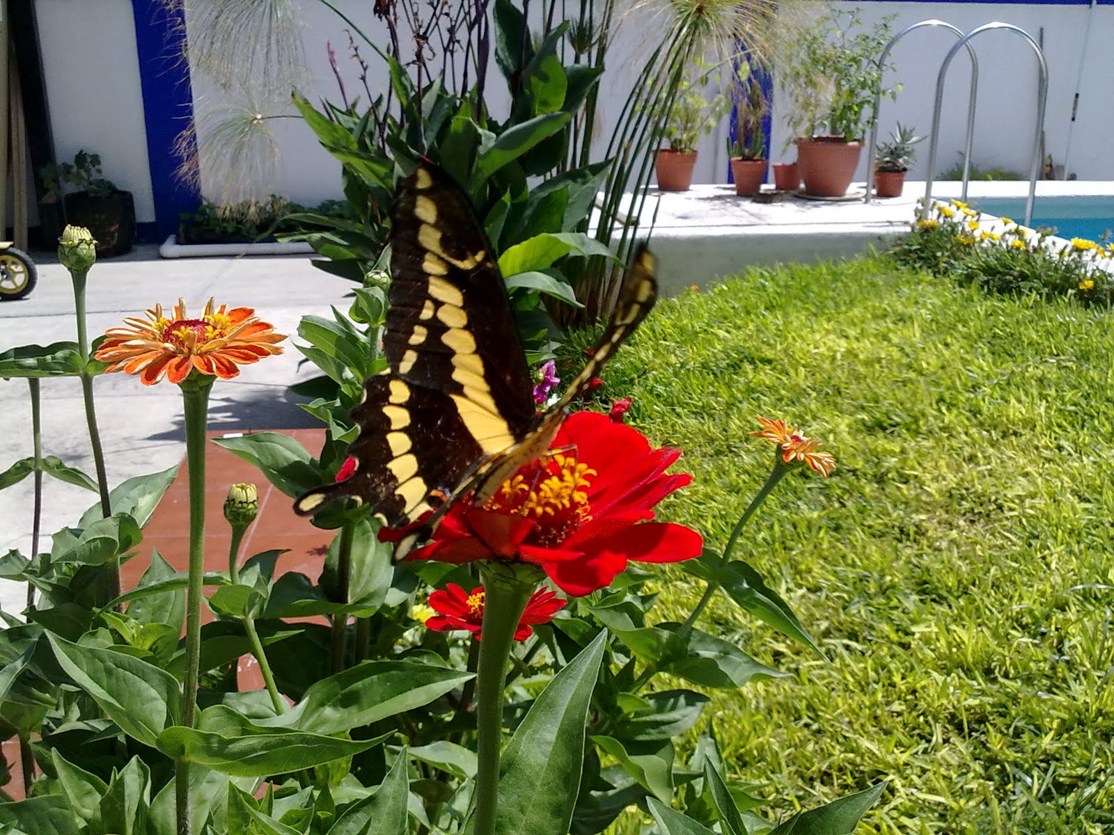 270820103063.jpg