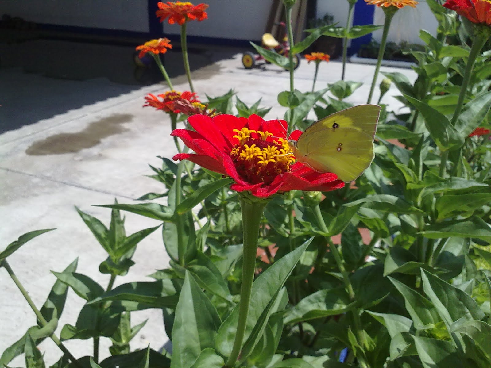 270820103065.jpg