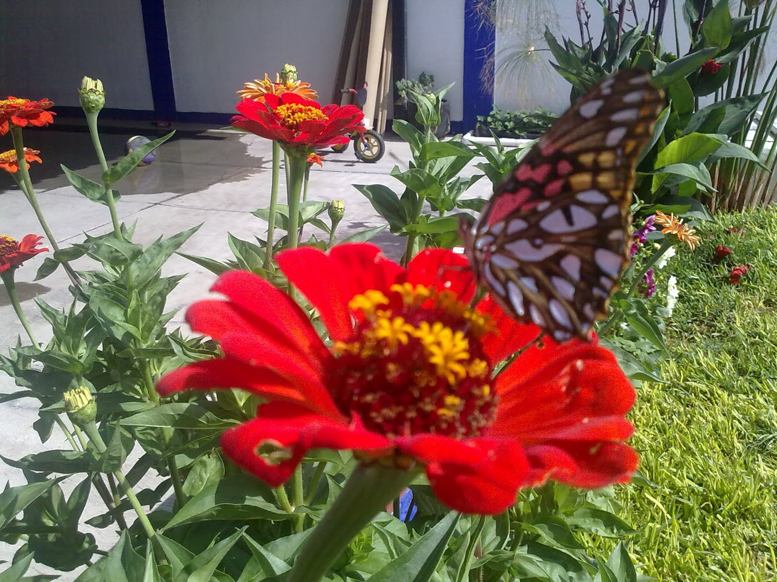 270820103073.jpg