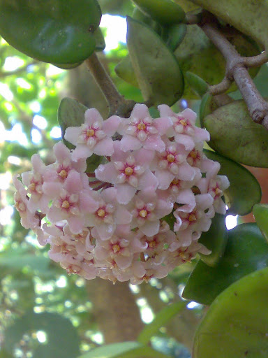 270820118194.jpg