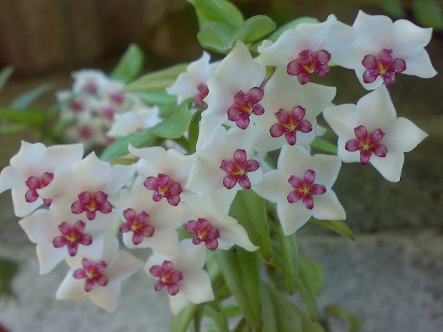 270820118200.jpg