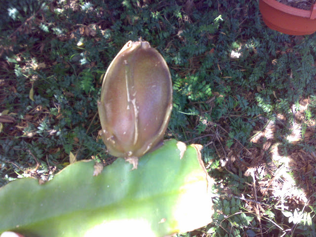 270920118894.jpg