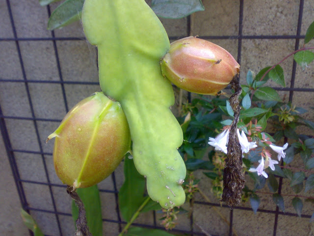 270920118898.jpg