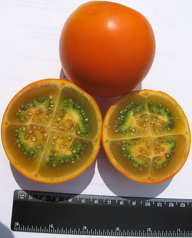 270px-Lulo.jpg