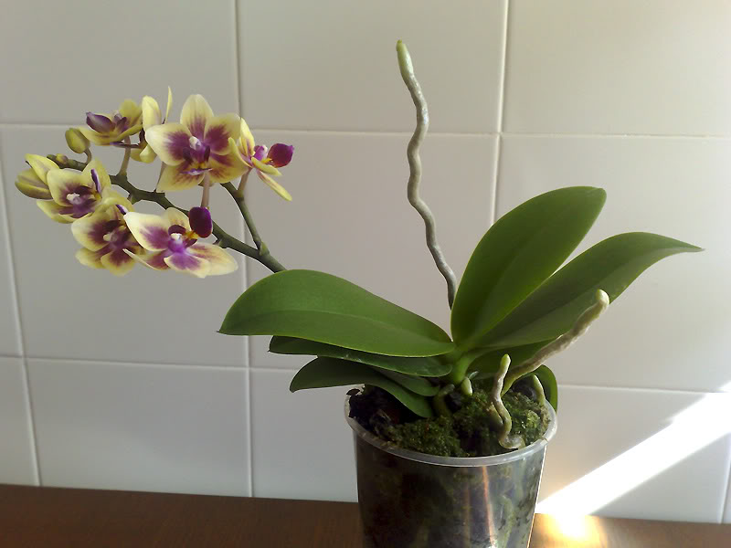 27102010269.jpg