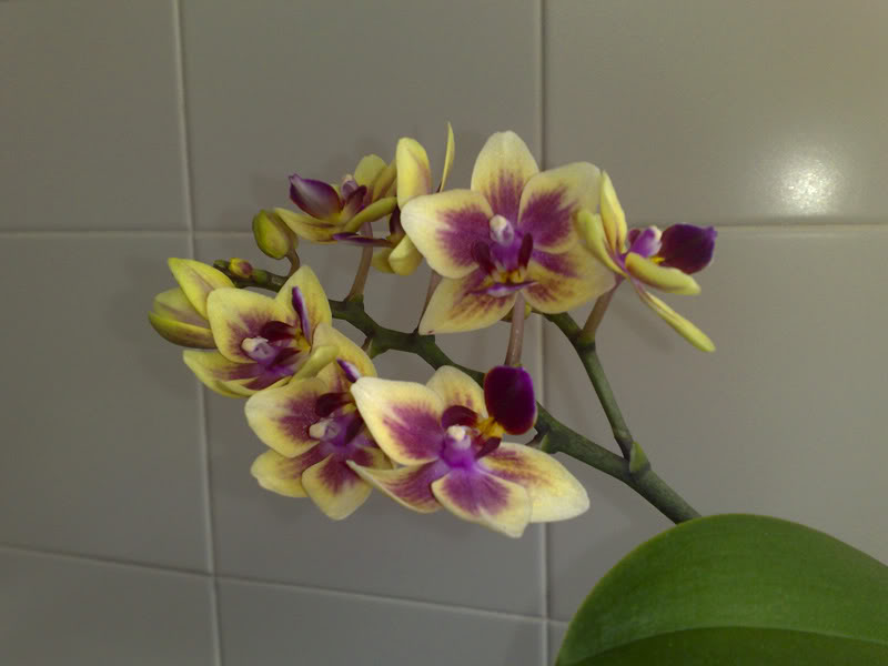 27102010272.jpg