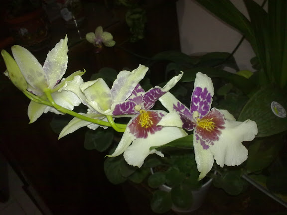 271020123556.jpg
