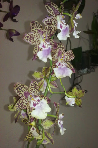 271020123577.jpg