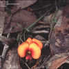 2720c6_tn.jpg