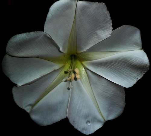 2763188877_480c5f1339.jpg