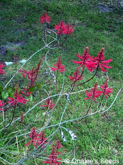 2772_pd1741745_2.jpg