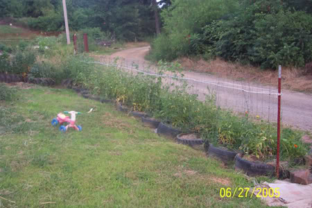 27jun2005fronttiretomatoes.jpg