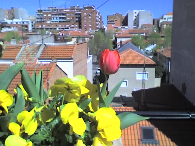 28-03-06_1317.jpg