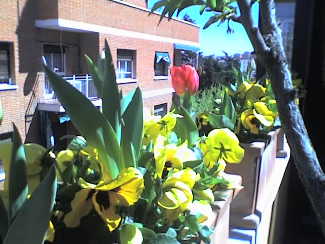 28-03-06_1322.jpg