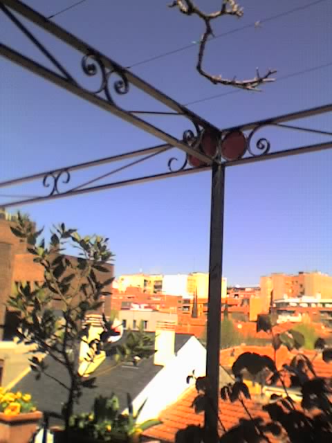 28-03-06_1324.jpg